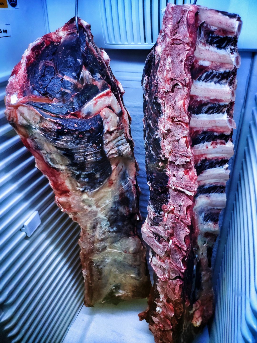 Tutorial: Dry Aging